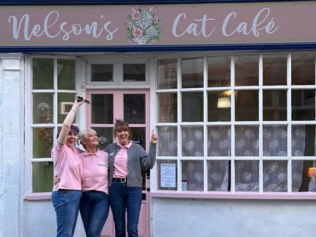 Nelson’s Cat Cafe